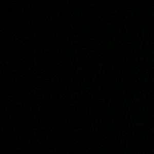 Meet your Posher, Peter